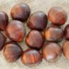 Sanniti Italian Fresh Chestnuts, 1 Lb