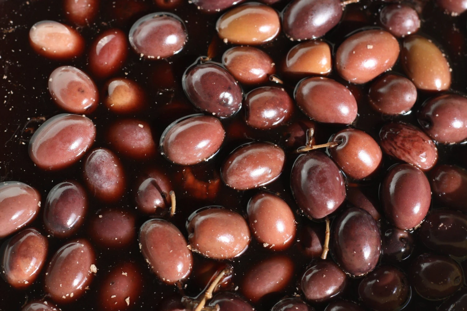 Sanniti Gaeta Olives, 1 Lb - Image 2